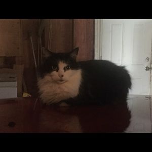 Meet your Posher, Tammy